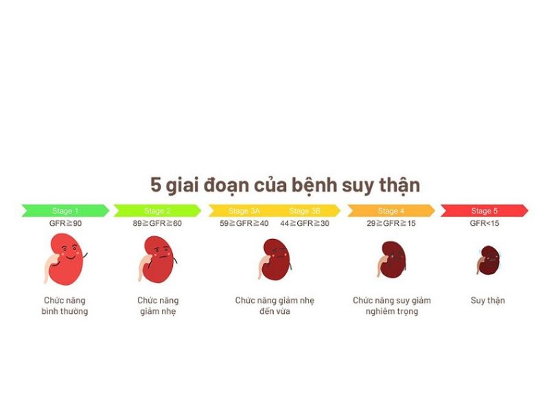 5 giai đoạn của bệnh suy thận