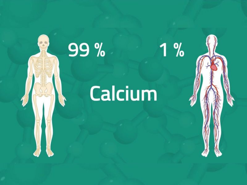 Canxi đóng vai trò trong hệ tim mạch