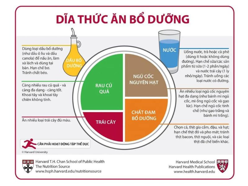 Dĩa thức ăn bổ dưỡng (Nguồn: Harvard T.H. Chan School of Public Health)