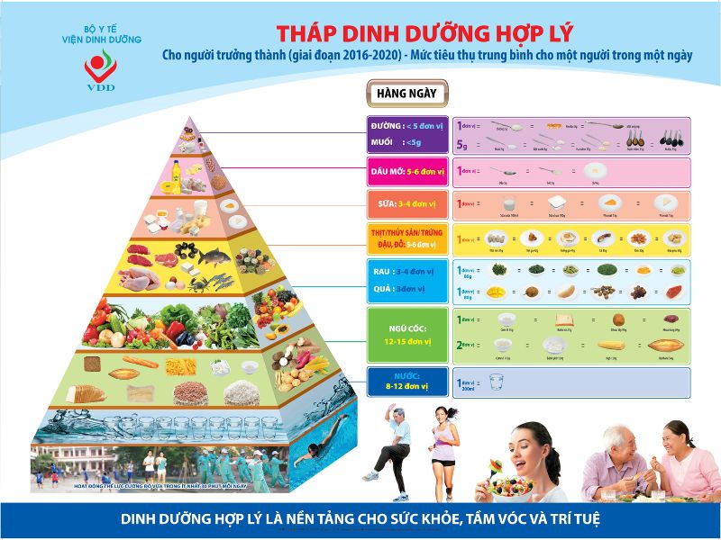 Tháp dinh dưỡng dành cho người Việt Nam trưởng thành 